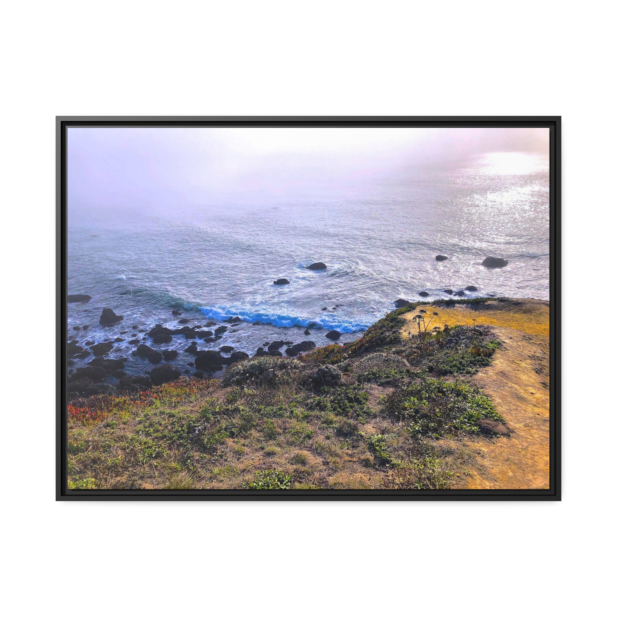 Bodega Cliff Fog #3