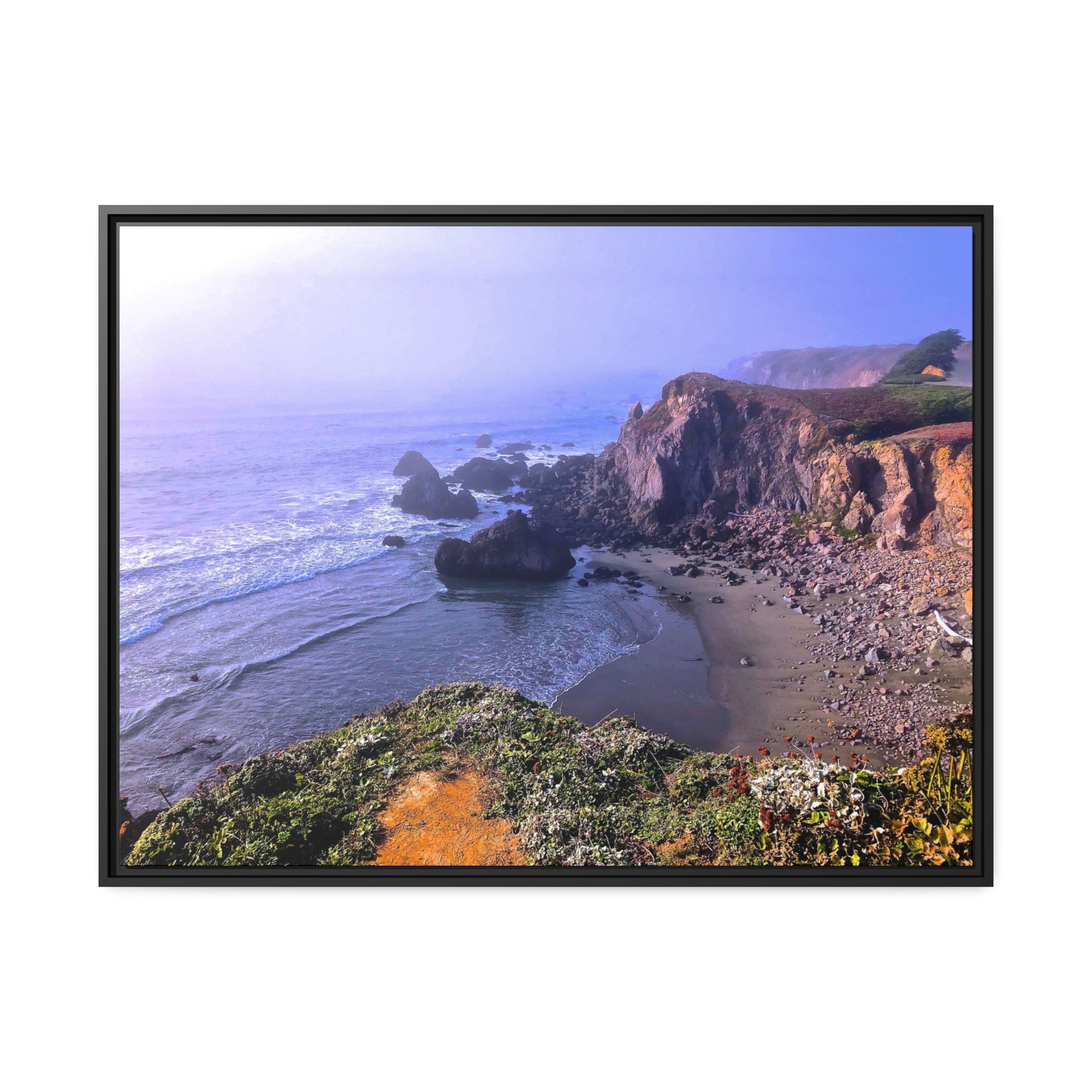 Bodega Fog Cove #1