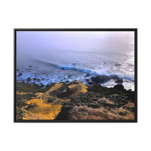 Bodega Cliff Fog #2