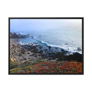 Bodega Fog Coast #4