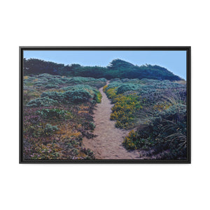 Sea Ranch Path #1