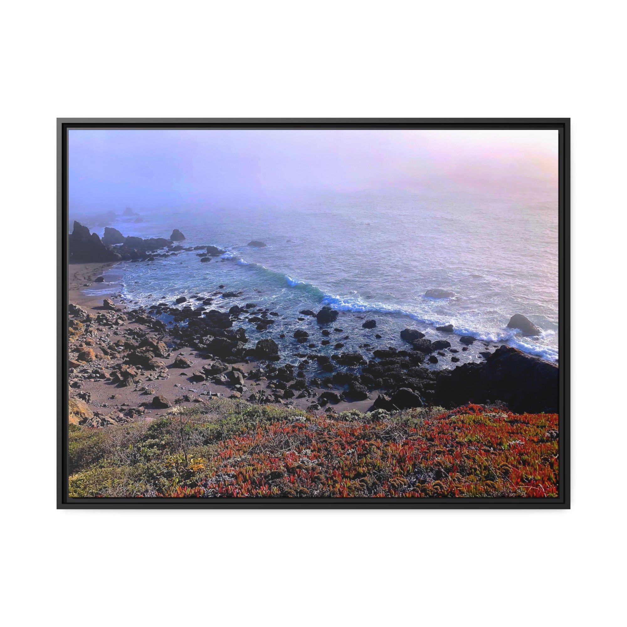 Bodega Fog Coast #5