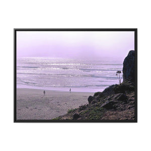 Bodega Fog Beach #2