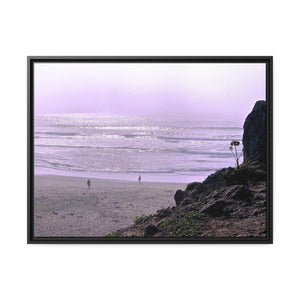 Bodega Fog Beach #2